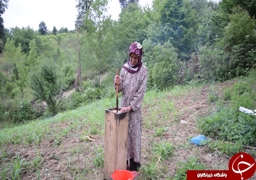 از سحر تا افطار با یک خانواده جنگل نشین