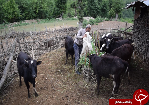 از سحر تا افطار با یک خانواده جنگل نشین