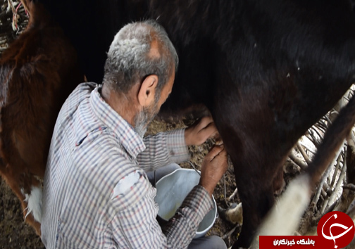 از سحر تا افطار با یک خانواده جنگل نشین