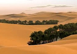 یک میلیون هکتار از اراضی فارس مستعد تبدیل به "بیابان" است