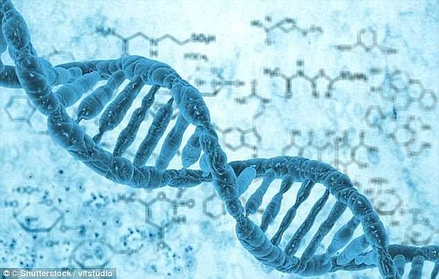 ذخیره اطلاعات شخصی شهروندان بر اساس DNA آنها