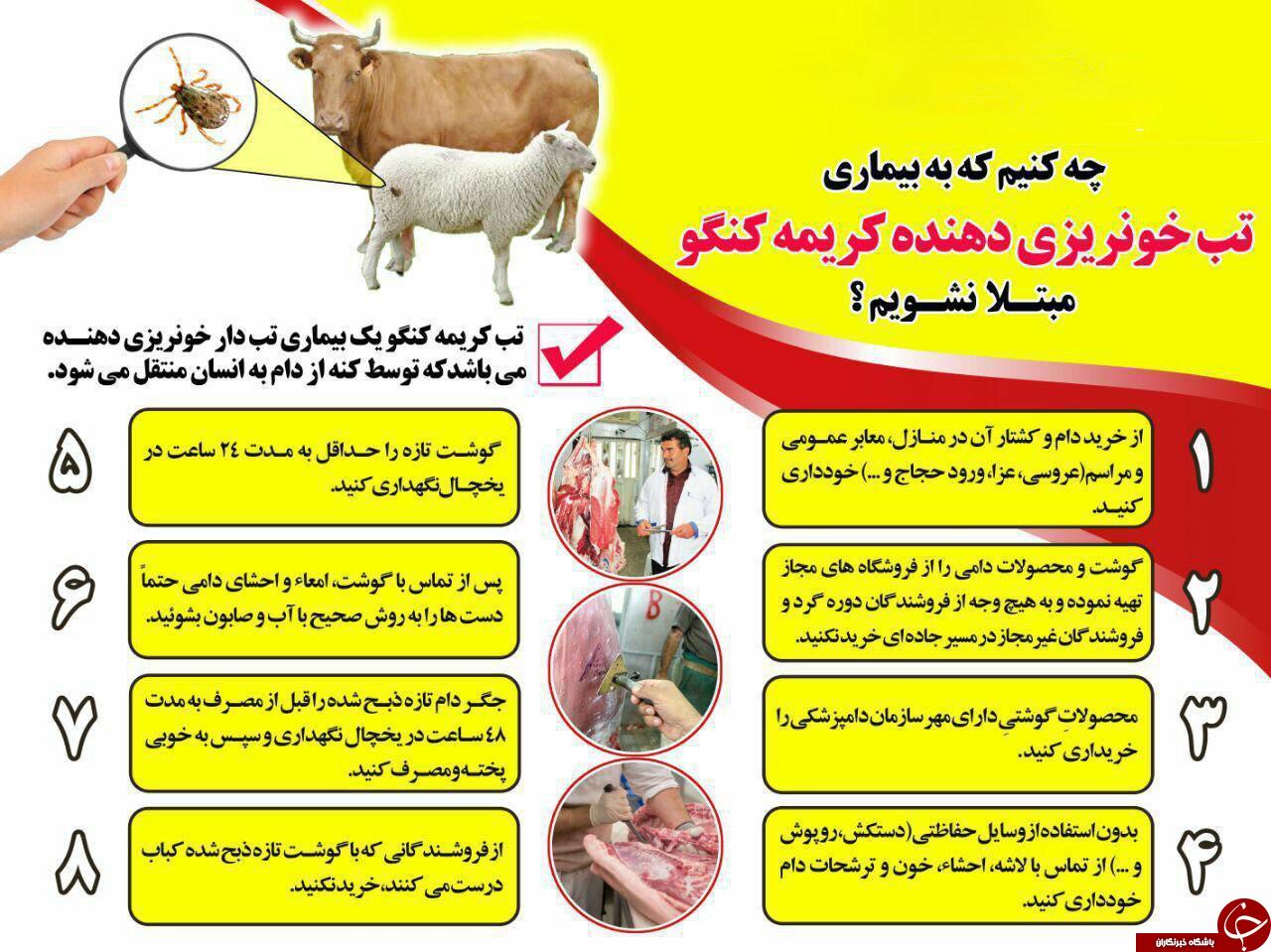 ترفند&zwnj;های مبارزه با تب کریمه کنگو / تب سرخ کریمه کنگو قابل پیشگیری است؛ فقط کافیست اقدام کنید!