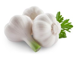 &Uacute;&Ugrave; &Oslash;&sect;&Ugrave;&Oslash;&plusmn;&Oslash;&sect;&Oslash;&macr;&Ucirc; &Ugrave;&Oslash;&plusmn;&Uacute;&macr;&Oslash;&sup2; &Ugrave;&Oslash;&uml;&Oslash;&sect;&Ucirc;&Oslash;&macr; &Oslash;&sup3;&Ucirc;&Oslash;&plusmn; &Oslash;&uml;&Oslash;&reg;&Ugrave;&Oslash;&plusmn;&Ugrave;&Oslash;&macr;&Oslash;