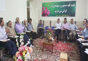 وجود ۸۶ هزار هکتار باغ زیتون در کشور