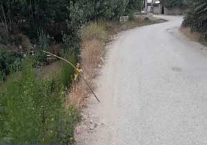 خطر سقوط در رودخانه روستای "مشهدی کلا" + فیلم