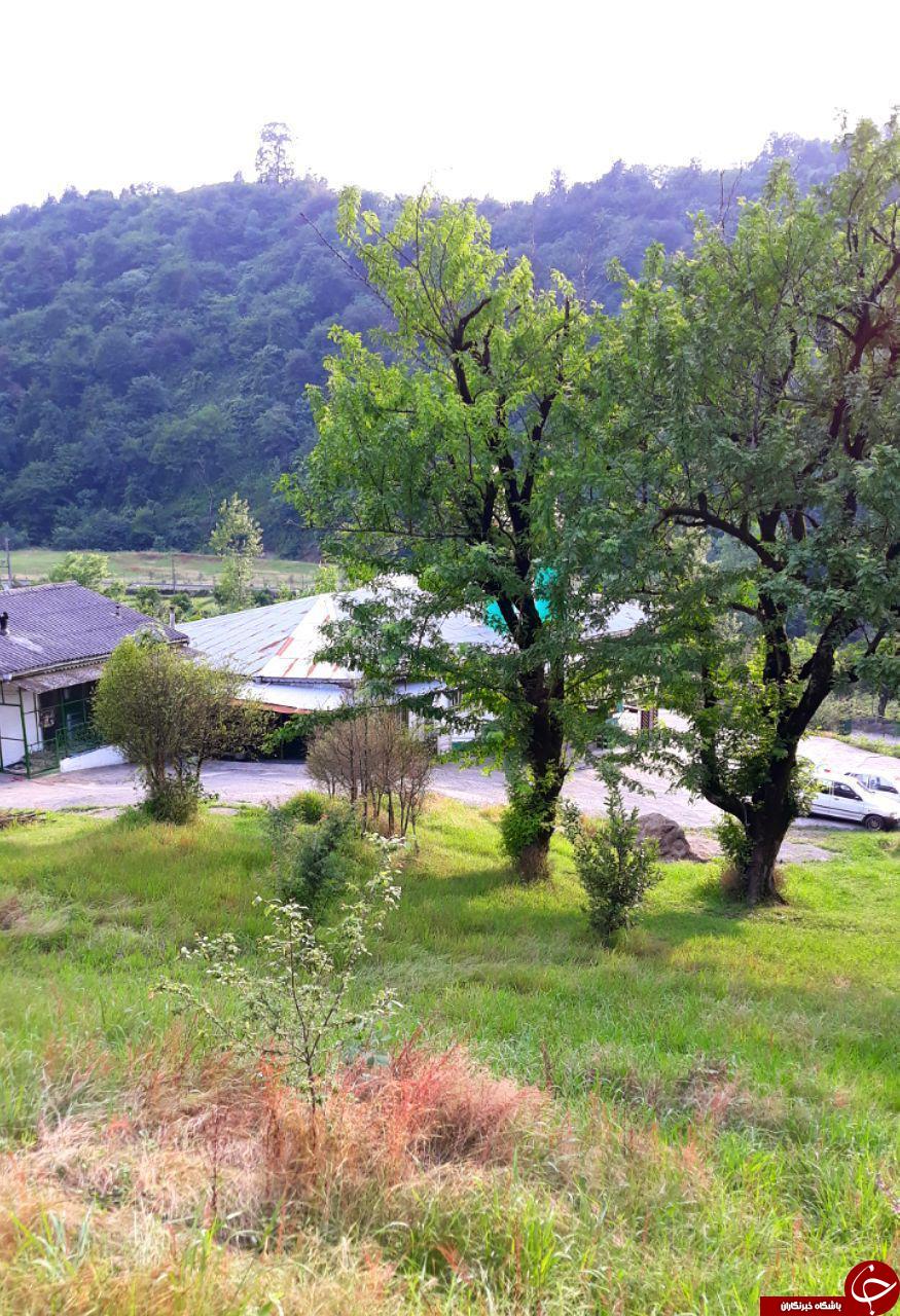 نمایی از طبیعت بکر در روستای شرم&zwnj;دشت + تصاویر