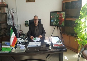 برداشت بیش از هزار تن گیلاس در اشنویه