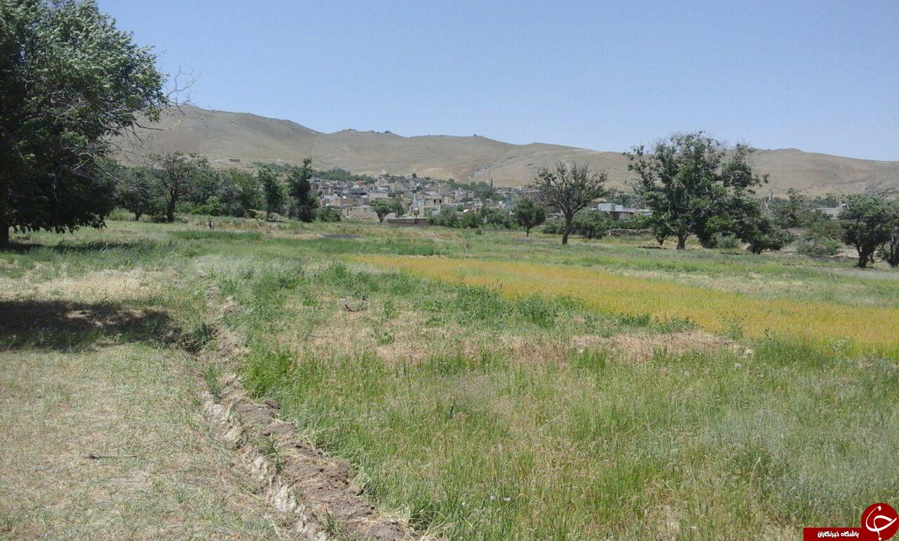 چشم&zwnj;اندزی از طبیعت زیبا در روستای کمری + تصاویر