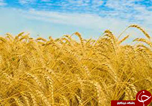 نگاهی گذرا به مهمترین رویداد&zwnj;های شنبه ۲۶ خرداد ماه در مازندران