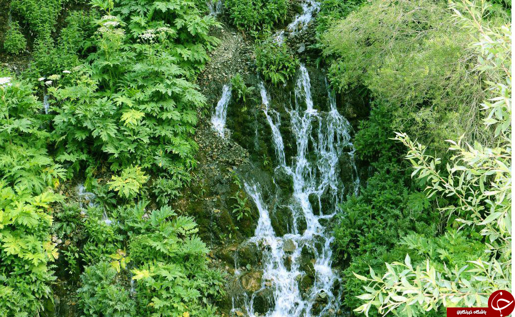 نمایی از طبیعت زیبای هفت چشمه در چالوس + تصاویر