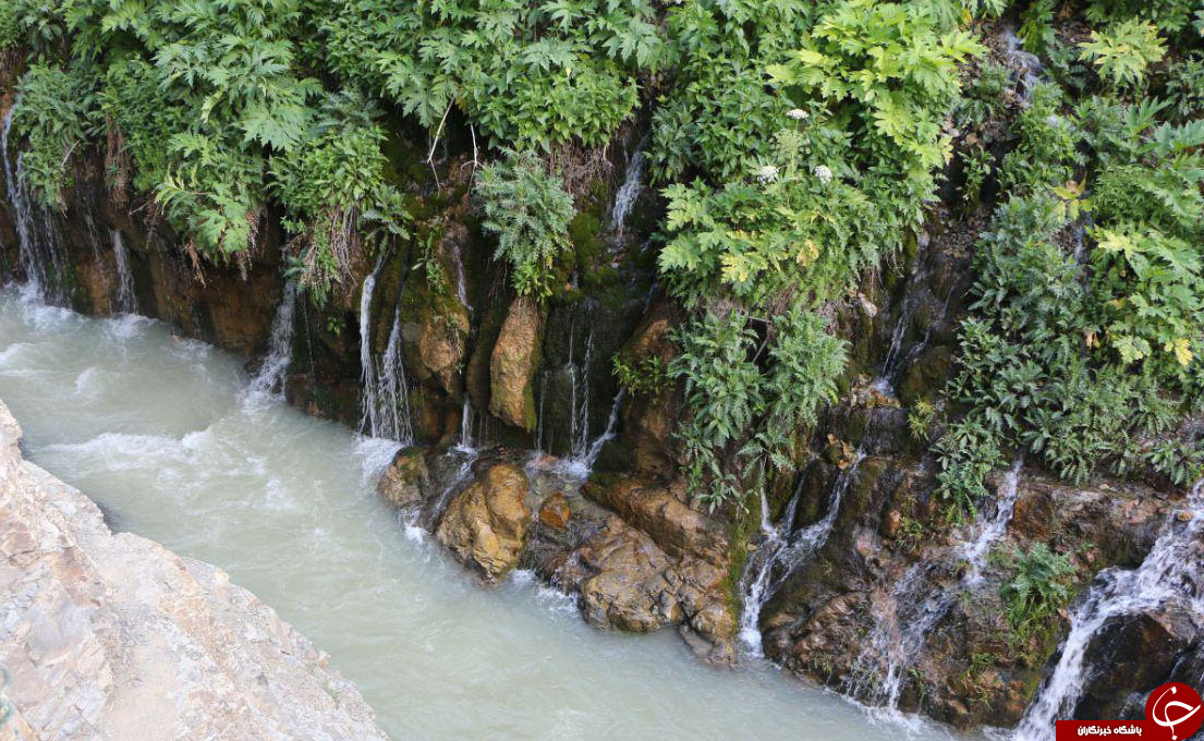 نمایی از طبیعت زیبای هفت چشمه در چالوس + تصاویر