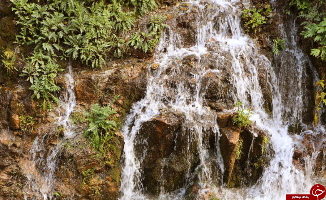 نمایی از طبیعت زیبای هفت چشمه در چالوس + تصاویر