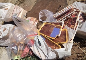 جمع آوری بیش از ۷۰ کیلو گرم آلایش دامی فاسد در تاکستان