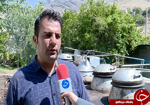 گل&zwnj;هایی که بوی آن نوازشگر اقتصاد کشور است