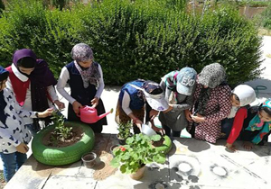 کارگاه عملی آموزش کاشت گل و گیاه در فرادنبه