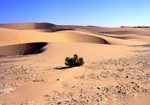 تدوین سند بیابان زدایی سیستان وبلوچستان