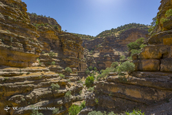 پاییز در روستای اوره نطنز