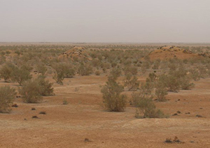 اعتبار بیش از ۶میلیارد تومان برای مقابله با بیابان زایی در گلستان