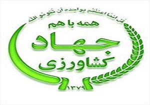 تجلیل از ۵۰ فعال بخش کشاورزی در هرمزگان