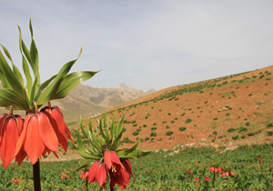 وجود فرآیند بیابان&zwnj;زایی در چهارمحال و بختیاری