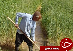 مصرف ۹۲ درصد آب تولیدی لرستان در بخش کشاورزی