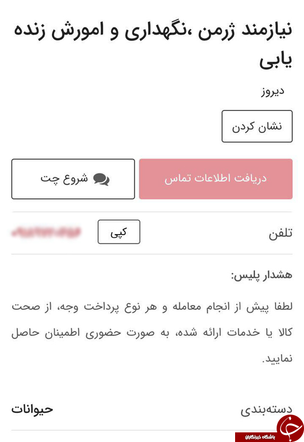هلال احمر هیچ سگ زنده&zwnj;یابی را نمی&zwnj;فروشد