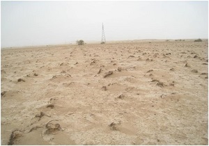 ۱۸ میلیون هکتار بیابان در سیستان و بلوچستان وجود دارد