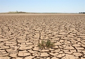 مقابله با بیابان زدایی با اختصاص بودجه میلیاردی
