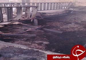 تلف شدن 8 راس گوسفند در روستای بوشاد