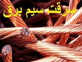 دستگیری سارق با5 فقره سرقت درشهرستان سلطانيه