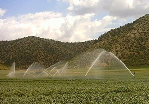 بهره برداری از ۹ طرح کشاورزی در شهرستان بروجن