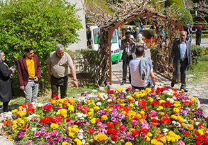 باغ گلها گلباران می‌شود