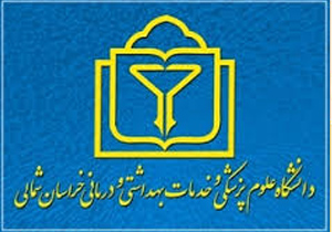 شناسایی ۲۳۷ بیمار دیالیزی در خراسان شمالی