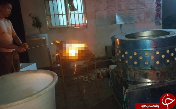 آمادگی چینی&zwnj;ها برای برگزاری جشنواره سنتی سگ خوری+تصاویر
