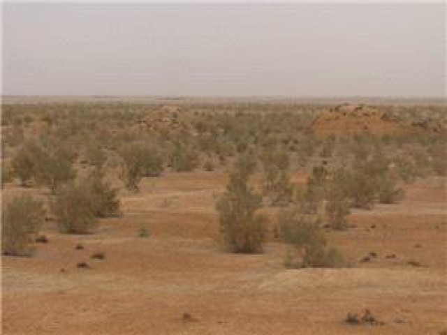 بیش از یک سوم سطح شهرستان سبزوار دارای ظرفیت بیابانی شدن