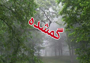 نجات ۵ فرد گمشده در جنگل‌ های نور