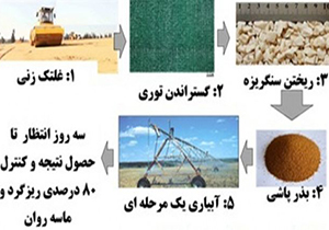 ثبت روشی نوین برای مهار گرد و غبار و ماسه های روان