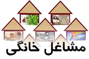 رونمایی از الگوی نوین توسعه مشاغل خانگی در لرستان