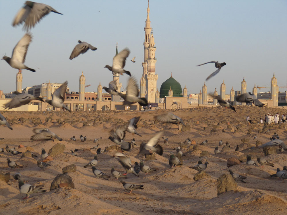 اشعار ویژه به مناسبت تخریب قبرستان بقیع