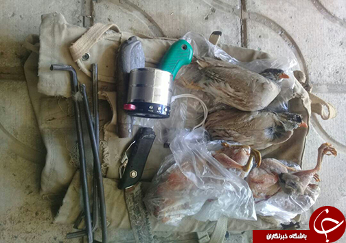 &zwj; پخش صدای پرندگان و شکار آن ها/شکارچیان پرندگان وحشی شکار شدند
