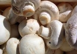 مسمویت با قارچ در قزوین به ۴ نفر رسید