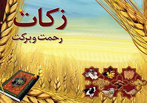 زکات از هر کجا گرفته شود باید در همان‌جا مصرف شود