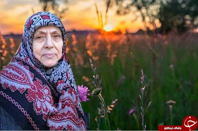 پربازدیدهای وبگردی