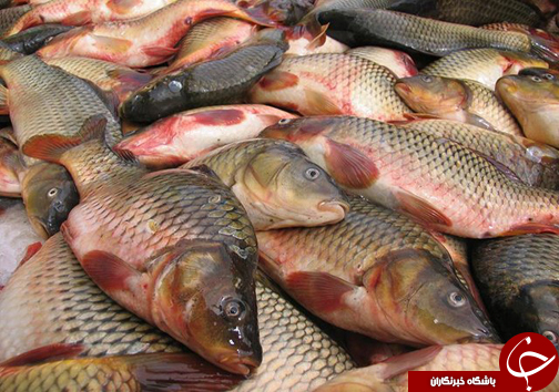 نگاهی گذرا به مهمترین رویداد&zwnj;های جمعه ۴ خرداد ماه در مازندران