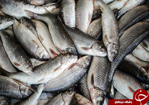 نگاهی گذرا به مهمترین رویداد&zwnj;های جمعه ۴ خرداد ماه در مازندران