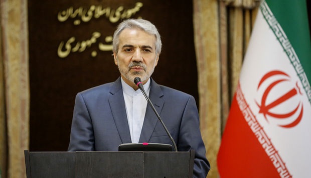 منظور صندوق بین المللی پول از کسری بودجه عدم تحقق منابع است
