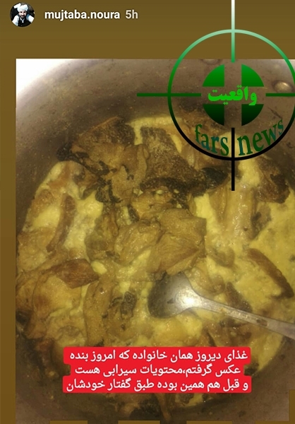 &laquo;از شایعه تا واقعیت&raquo;/ماجرای خوردن گربه&zwnj; در جنوب ایران چیست؟