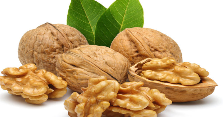 ایران سومین تولیدکننده گردو در جهان