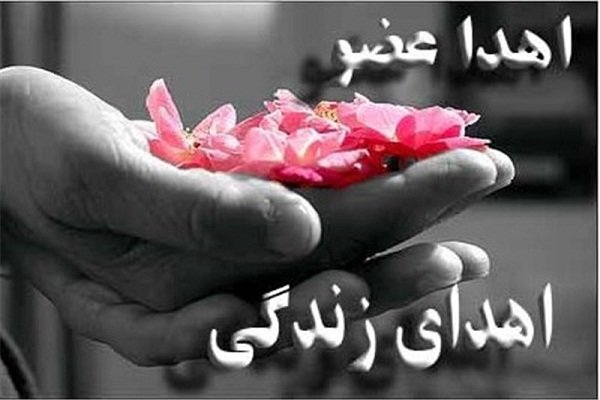 ایران جزو کشورهای پیشرو در حوزه پیوند عضو/ ورود صهیونیست&zwnj;ها به خرید و فروش اعضای بدن