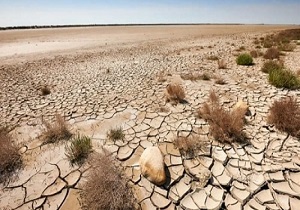 کاهش حجم کشاورزی و باغداری سبب گسترش بیابان درقم می شود